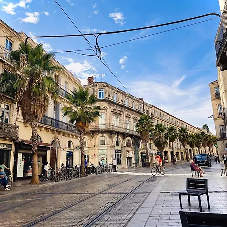 Cosy - Elegance & Calme En Hyper-centre *